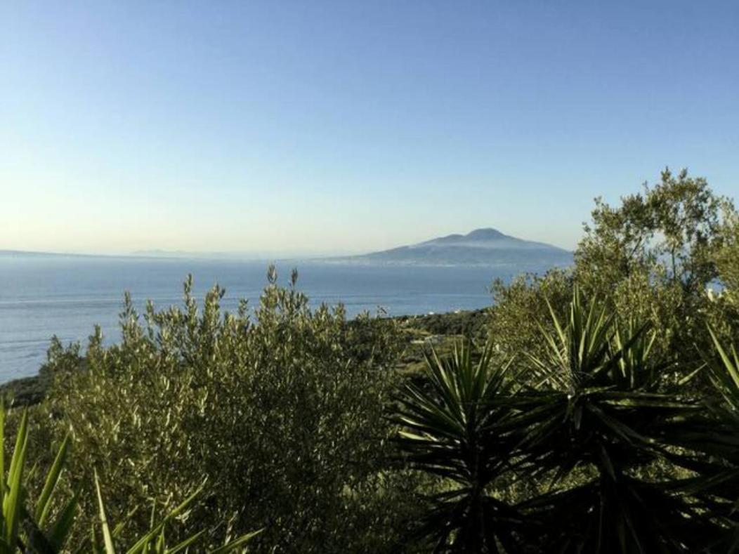 Apartment Un Paradiso A Sorrento Con Piscina Massa Lubrense