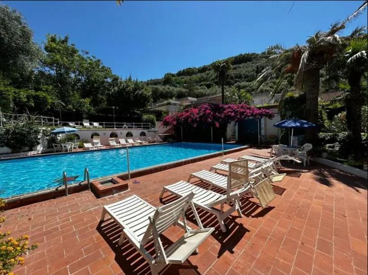 Un Paradiso A Sorrento Con Piscina