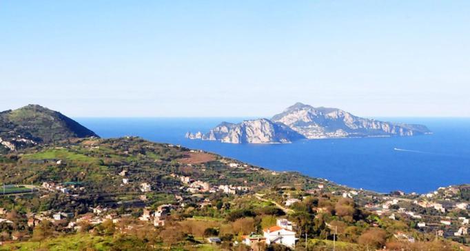 Un Paradiso A Sorrento Con Piscina * Massa Lubrense