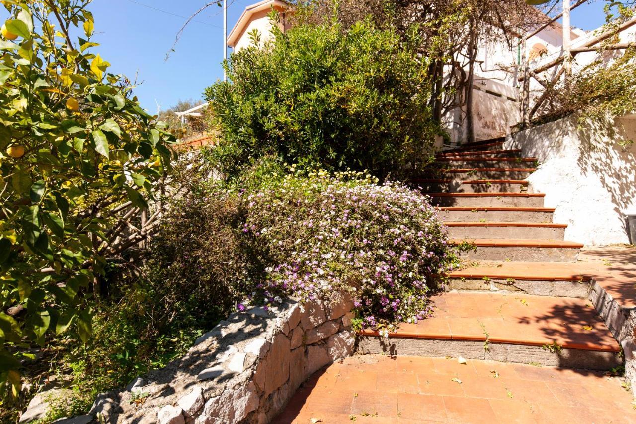 Apartment Un Paradiso A Sorrento Con Piscina