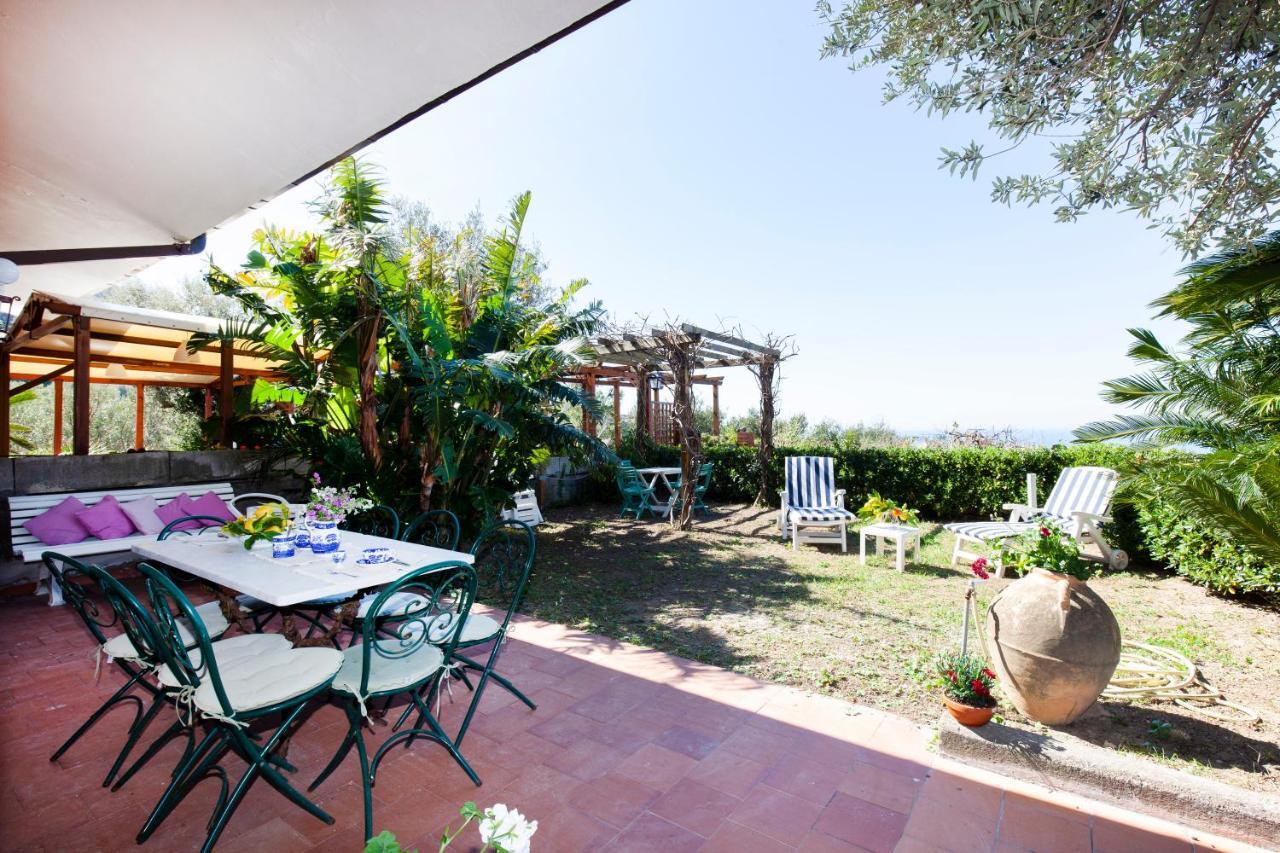 Apartment Un Paradiso A Sorrento Con Piscina